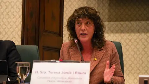 Teresa Jordà Parlament 2
