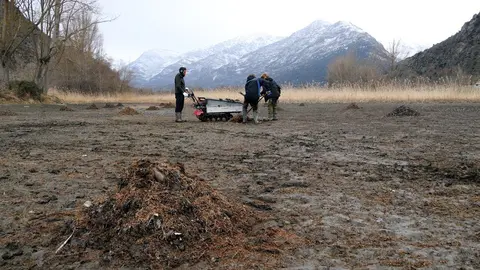 Primer pla d'una muntanya d'algues, al pant&agrave; de la Torrassa, i operaris treballant en la seva retirada al fons. Imatge del 4 de mar&ccedil; del 2020. (horitzontal)