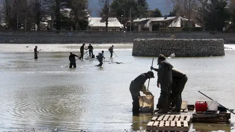 Pla general on es veu un grup d'efectius d'Agents Rurals i una empresa especialitzada retirant esp&egrave;cies invasores de l'estany de Puigcerd&agrave; i, en primer terme, un altre buidant els peixos que s'han pescat. Imatge del 9 de mar&ccedil; de 2020 (Horitzontal).