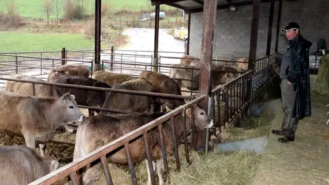 Un ramader a la granja de vaques de Pujalt, al Pallars Sobir&agrave;, el 16 de mar&ccedil; del 2020. (horitzontal)