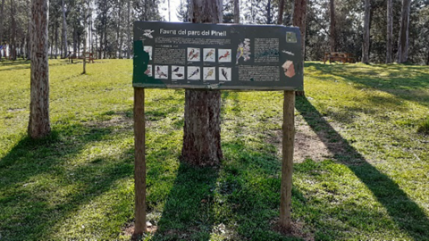 remodelaci&oacute; Pinell (1)