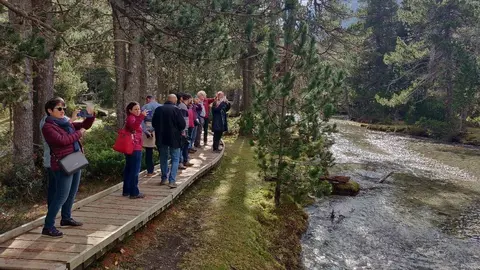 Pla obert on es poden veure visitants al Parc Nacional d'Aig&uuml;estortes i Estany de Sant Maurici, l'estiu de 2019. (Horitzontal)