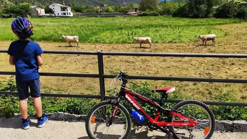 Nen amb bici