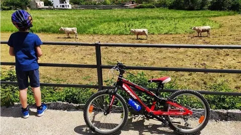 Nen amb bici