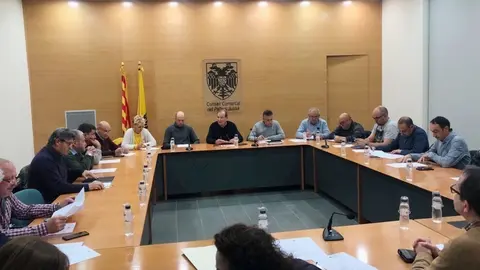 Consell Alcaldes Pallars Juss&agrave;