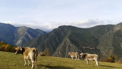 Farrera Parc Natural de l'Alt Pirineu