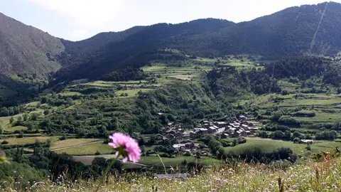 foto_3373105 (1)