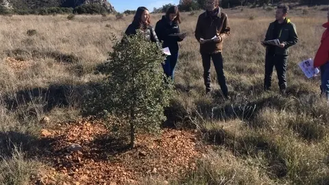 Pla obert de la visita a la plantaci&oacute; d'alzines situada en una pastura abandonada envoltada de bosc al Prepirineu. Imatge facilitada pel Centre de Ci&egrave;ncia i Tecnologia Forestal de Catalunya (CTFC) el 4 de juny de 2020 (Horitzontal).