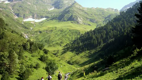 Bosc de Vir&oacute;s PNAP