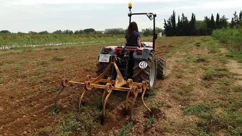 Foto-Escola Agricultura