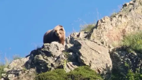 Ossa Vall d'Aran