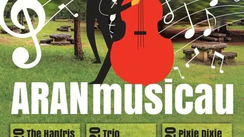 Aran Musicau