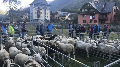Fira ramadera de Les