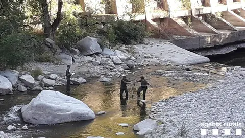 Agents Rurals den&uacute;ncia central Segre bis