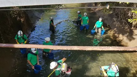Rescat de fauna del canal de Soss&iacute;s
