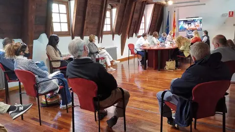 Consell Alcaldes set 2020