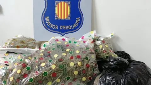 Pla de detall de les bosses de marihuana que els Mossos d'Esquadra van localitzar el 6 d'octubre a l'interior d'un vehicle al Pont de Suert. (horitzontal)