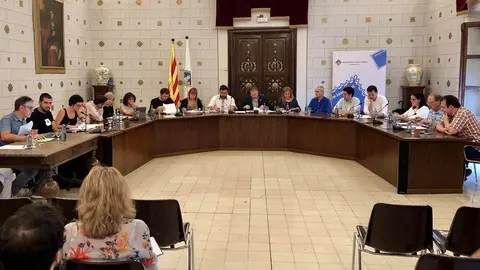 Ple municipal ajuntament de la Seu