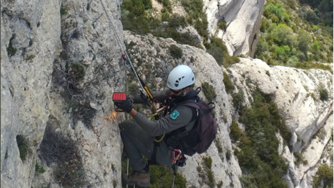 Ruta escalada