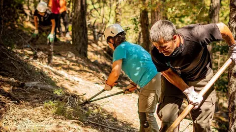 Pla general de voluntaris treballant al bosc l'estiu del 2020. (horitzontal)