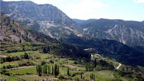 L'Alzina d'Aliny&agrave;