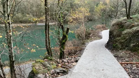 Camin transgarona