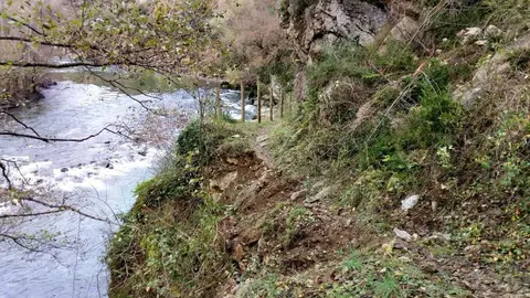 Cam&iacute; de Baro al Pont d'Arbol&oacute; 2
