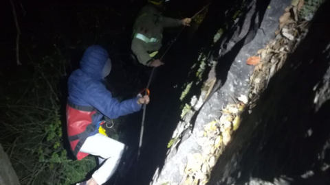 Rescat barranc de Montardit