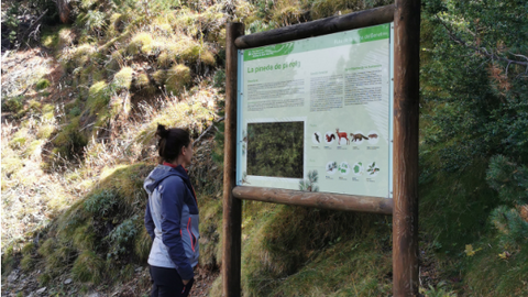 Ruta Vall de Barrab&eacute;s