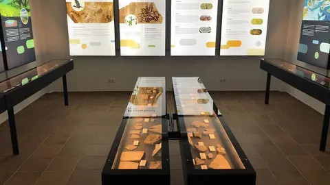 Exposici&oacute; Montsec Mei&agrave;