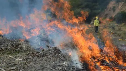 Prohibici&oacute; fer foc