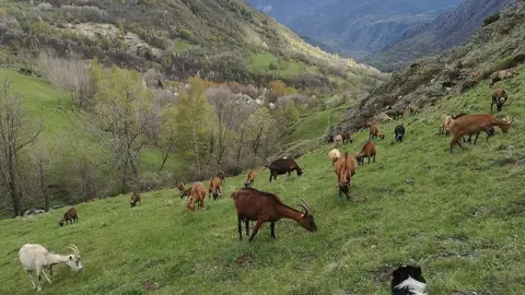 Formatgeria de Gav&agrave;s