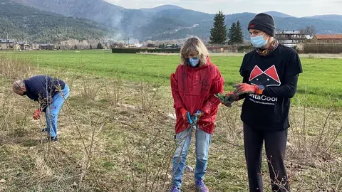 Pla obert d'una de les impulsores de l'empresa Gratacool, Emma Roca, mostrant les tasques de poda del roser silvestre, que ara assumeixen des de la Cooperativa Incorpora'm de la Fundaci&oacute; Adis. Imatge del 9 d'abril de 2021 (Horitzontal).