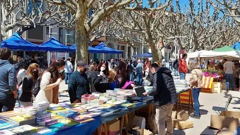 Sant Jordi a la Seu 2021