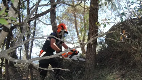 cooperatives-forestals-1270x700