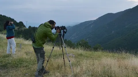 Observaci&oacute; fauna salvatge de muntanya