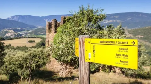 SENYAL CAM&Iacute; D'ANSERALL A CALBINY&Agrave;