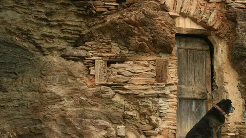 Solanell Sa&uuml;l Garreta