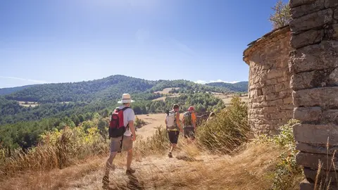 Festival Camina Pirineus