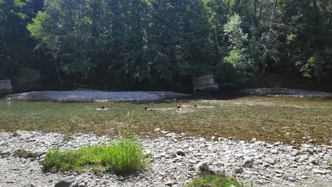 Banys d'estiu a la Pobla de Segur