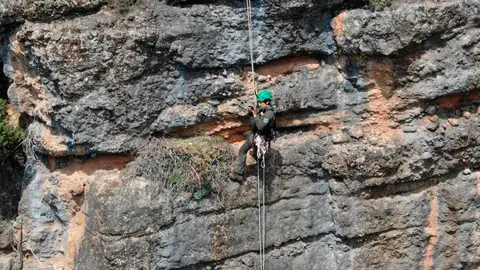 Pla obert amb un Agent Rural inspeccionant el niu d'&agrave;liga cuabarrada situat molt a prop d'una instal&middot;laci&oacute; il&middot;legal d'slackline a la serra del Montsec. (Horitzontal)