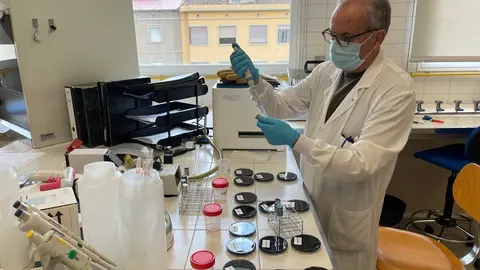 Pla obert on es veu una persona de l'Ag&egrave;ncia de Salut P&uacute;blica analitzant si hi ha legionel&middot;la a les mostres que han arribat al laboratori. Imatge del 13 de juliol de 2021. (Horitzontal)