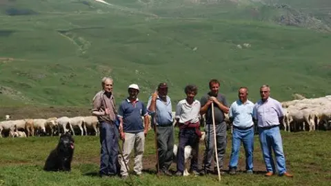 Pastors a la muntanya de Llessui
