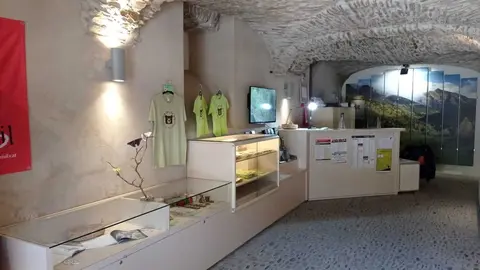 Casa de l'Os Bru dels Pirineus a Isil