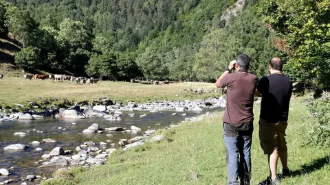 Pla general de dos persones observant un ramat de vaques a la Vall de Bonab&eacute;, al Pallars Sobir&agrave; el 20 d'agost del 2021. (Horitzontal)