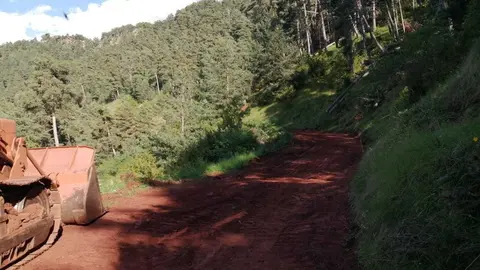 Pista forestal Sant Salvador