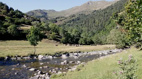 Pla general d'un grup de persones que participen a l'activitat que ofereix la Casa de l'Os d'Isil per con&egrave;ixer l'ofici de vaquer a la Vall de Bonab&eacute;. Imatge del 20 d'agost del 2021. (Horitzontal)