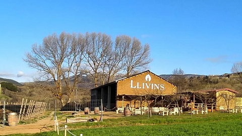 Llivins celler Cerdanya 3