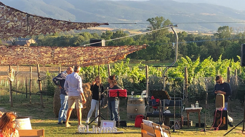 Llivins celler Cerdanya