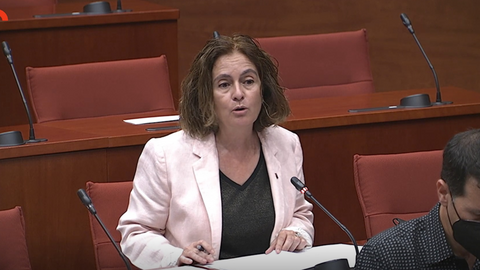 S&iacute;lvia Romero Parlament